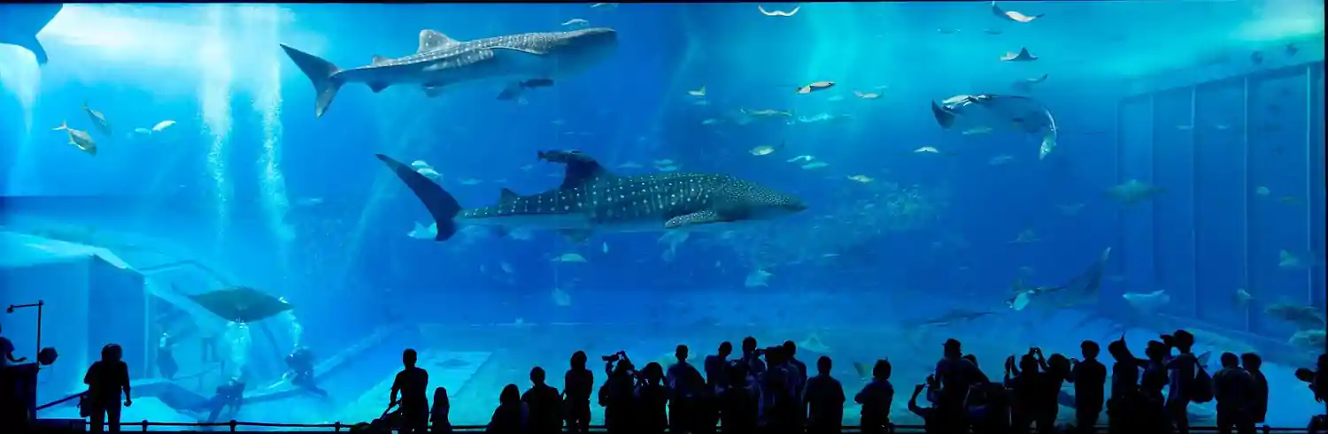 Large Acrylic Aquarium
