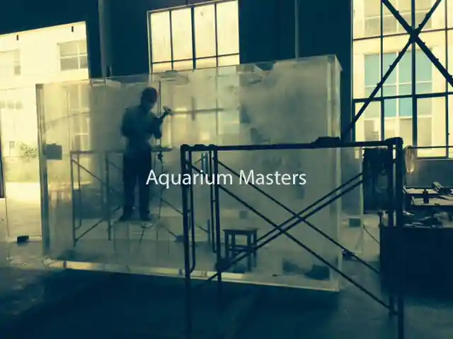 Aquarium9